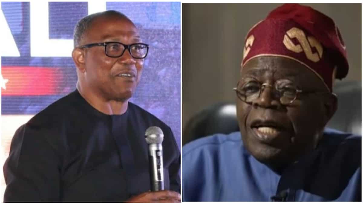 APC Chieftain Urges Peter Obi To Step Down For Tinubu After LP’s Poor Outing at Wike’s Backyard