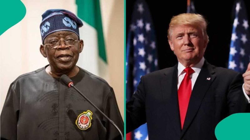 Trump’s Threat: US-African Command Proposes Options to Attack Nigeria